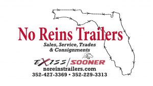 16 – No Reins
